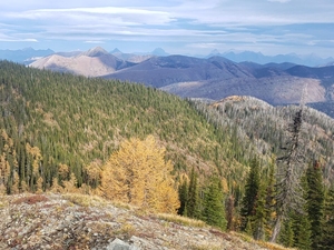 Ending the ‘Roadless Rule’ could end Montana’s wilderness