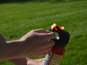 Groups petition Montana FWP to require hunters to carry bear spray