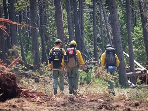 Sheehy, Padilla look to secure hazard pay for prescribed burns