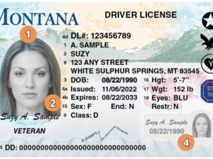 Montana extends fee waiver for driver’s license, ID renewal