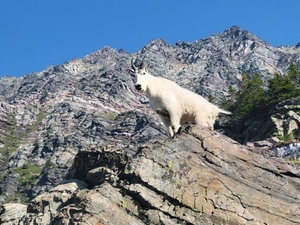 National Park fees head to D.C., while Yellowstone, Glacier wrestle with backlogged maintenance