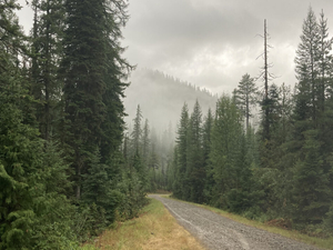 Groups sue to stop logging in Flathead National Forest