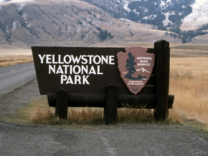 Yellowstone National Park visitation ticks down slightly, on pace for third busiest year