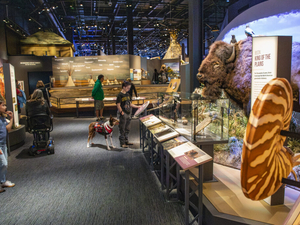 Montana Historical Society reaccredited by national museum org