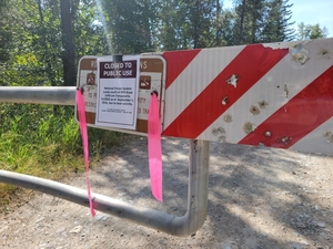 Bear attacks woman near Columbia Falls