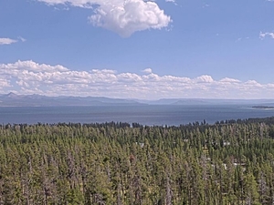 Yellowstone’s newest installed technology is already teaching researchers new insights at the park
