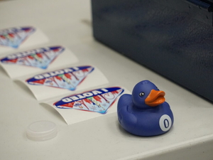There will be no new statewide ballot questions this year. But not for a lack of trying.