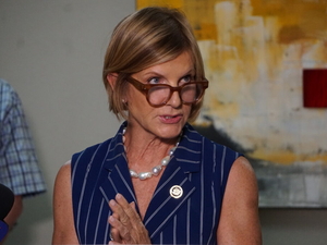 Susie Lee one of 15 House Democrats signing anti-socialist pledge 