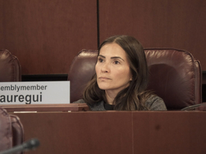 Juaregui seeks audit to learn if state agency is licensing felons to carry firearms 