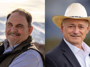 Flippo, Settelmeyer — and 11 more Republicans — seek open Northern Nevada U.S. House seat