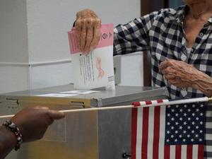 Voting rights advocates score three legal victories but remain on alert against election threats
