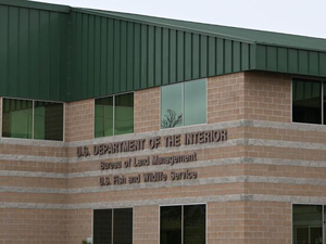 Judge halts data center construction on public land