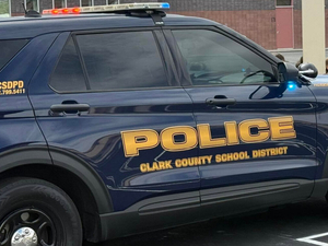 Clark school district police use of force report raises more questions about tactics, racial bias