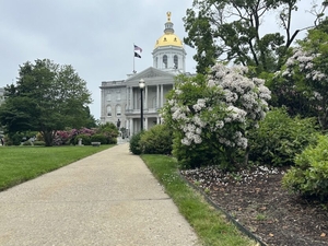 New protections for people with disabilities in state care signed into law