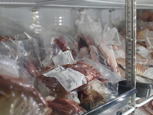 Push to loosen regulations on New Hampshire meat industry meets veto