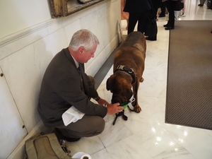 Lawmakers again consider giving convicts more time to prove their innocence