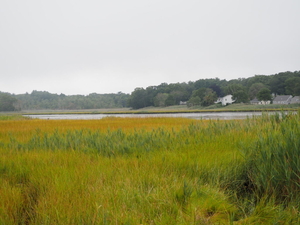 In Hampton, a race to insulate vulnerable neighborhoods against sea-level rise