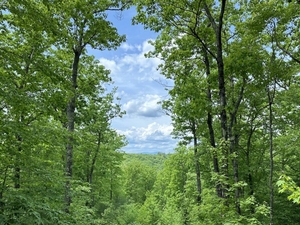 New Hampshire is one of a kind — and that cuts both ways