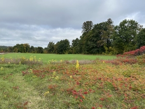 How will AI reshape life in New Hampshire? There are no real words.