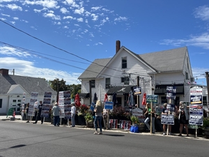 From climate change to the economy to healthcare, NH voters seek solutions with their ballots