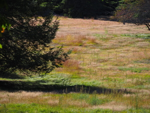 As drought expands across central NH again this fall, in some places it never fully went away