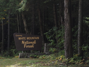 Conservationists want Congress to do more to protect New England’s roadless areas