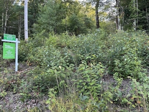 New Hampshire survey shows jump in support for small-lot single-family homes 
