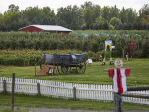 NJ farmers plead for help after April freeze destroyed fruit trees, other crops