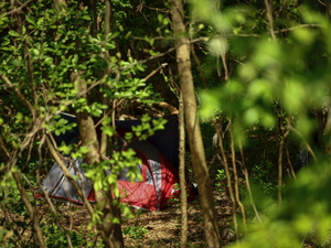 Holiday weekend heat-deaths labeled ‘mass casualty event’ by advocates