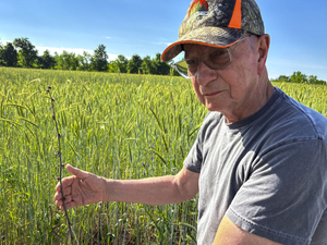 Feds declare disaster for April freeze that killed NJ farms’ crops