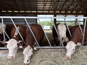 Warren County eyes slaughterhouse as solution for NJ’s road-weary livestock farmers