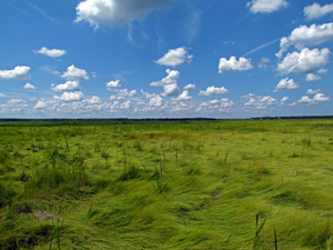 Conservationists push to preserve national wildlife refuges, fearing federal changes