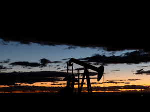 New Mexico Primary 2026: New Mexico House of Representatives, District 4