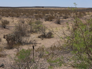 New Mexico sues feds, contractors over water wells drilled to aid border wall construction