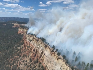 Study finds fewer — but more destructive — fires in the West