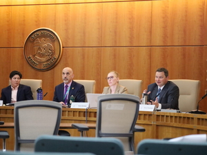 New Mexico behavioral health committee closes in on goal of approving 13 regional health plans