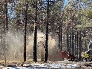 New Mexico’s plan to reduce wildfire risk currently ‘nowhere near enough’