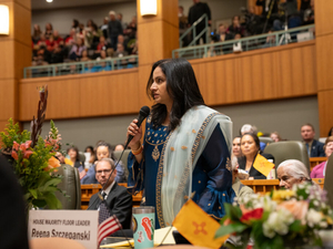 NM House passes passes law shielding elections from federal interference