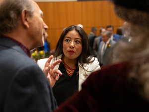 Top New Mexico Senate Republican accuses lawmaker of inappropriately helping fund DA’s office