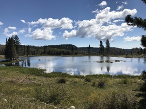 Canadian uranium firm says lack of outreach in northern New Mexico a ‘mistake,’ vows future candor 