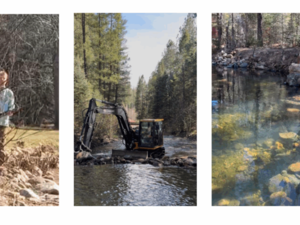 NM AG announces arrest, charges for landowner accused of threatening Pecos River fishermen