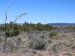 Continental Divide Trail Coalition raises alarm about NM uranium mine impact on hikers, landscape