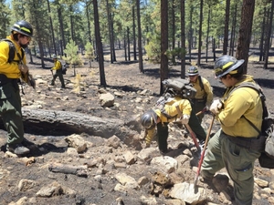 NM governor approves $500K for statewide wildfires, including McCauley Springs Fire in Jemez