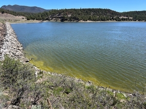 New Mexico environment department issues advisory, rolls out map for harmful algae on state lakes