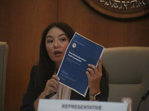 New Mexico lawmaker resigns from job with DA, accuses AG of ‘attempt to disrupt’ Epstein commission