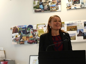 US Rep. Stansbury voices concerns about New Mexico water use for Project Jupiter data center