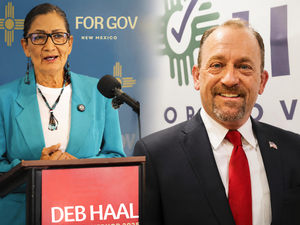 New Mexico Election 2026: New Mexico governor