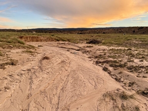 Colorado River stewardship begins in often dry tributaries like Little Badger Wash