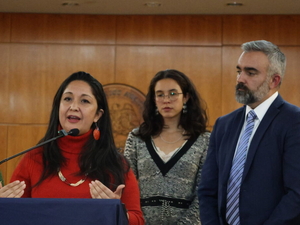 New Mexico attorney general and state lawmaker announce push to rein in rogue AI models