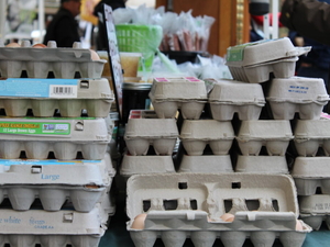 Got a notice in the mail for SNAP benefits? Respond by Monday, Oregon officials say.